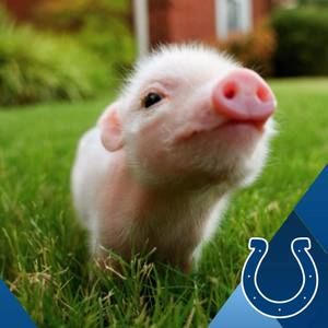 Meet your Posher, Alex